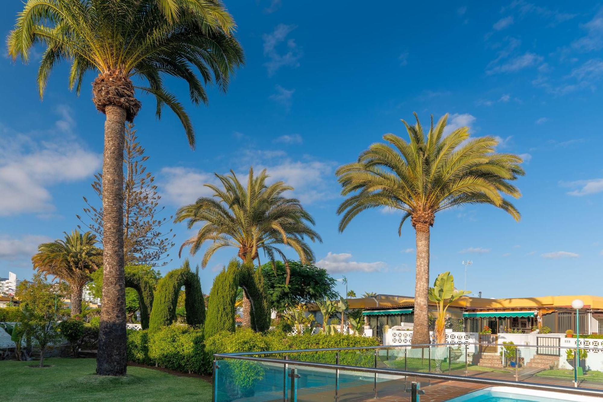 Bungalow Siena Center Playa Del Ingles Маспаломас Екстериор снимка